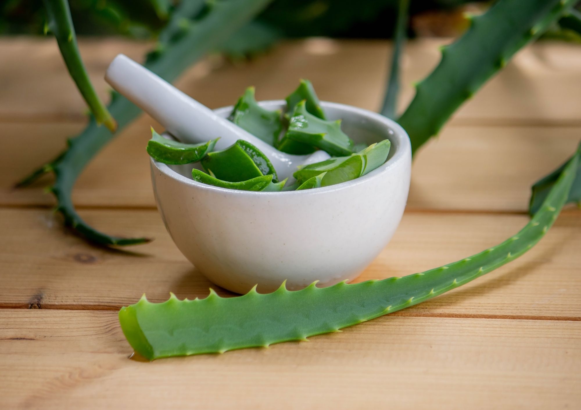 gel de aloe vera